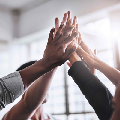 Bluevoyant government careers